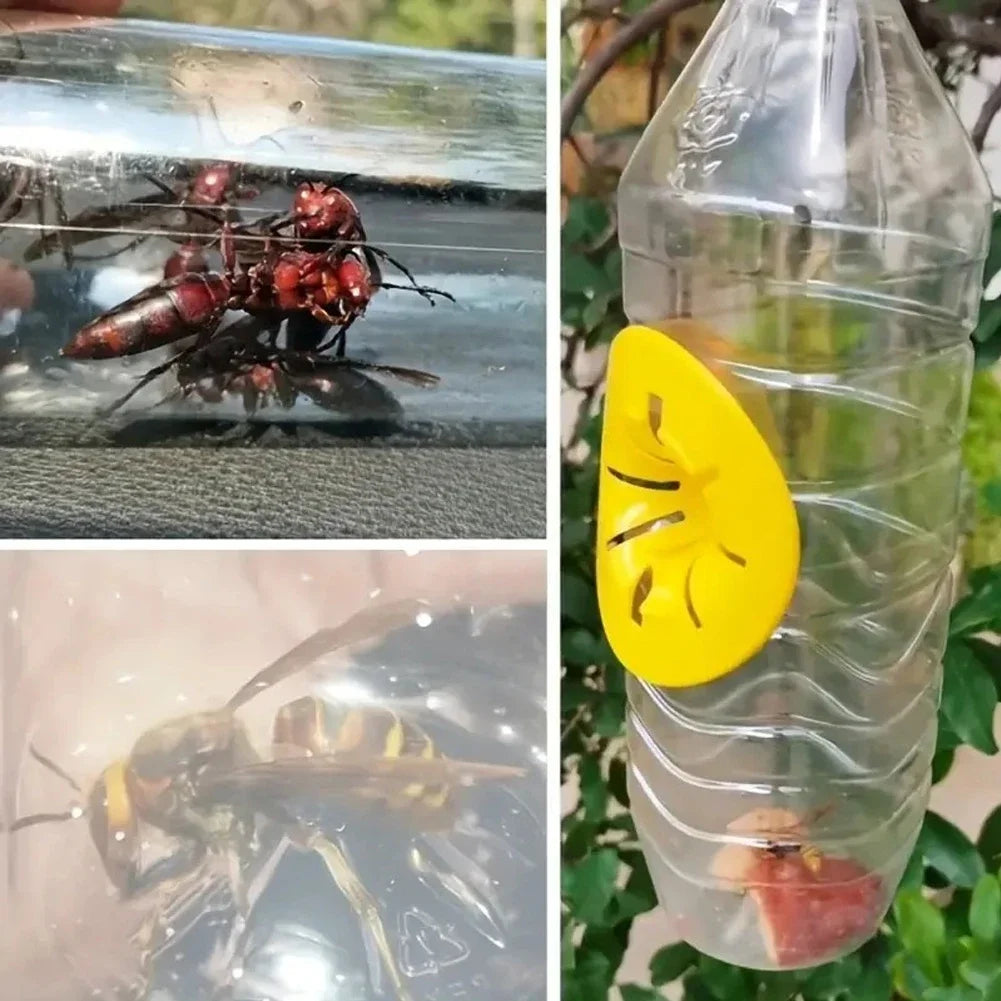 50-5Pcs Reusable Wasp Trap Insect Funnel Killer Flower Bee Hornet Catcher Plastic Bottle Wasp Traps Garden Pest Control Tool