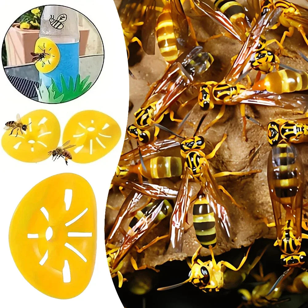 50-5Pcs Reusable Wasp Trap Insect Funnel Killer Flower Bee Hornet Catcher Plastic Bottle Wasp Traps Garden Pest Control Tool